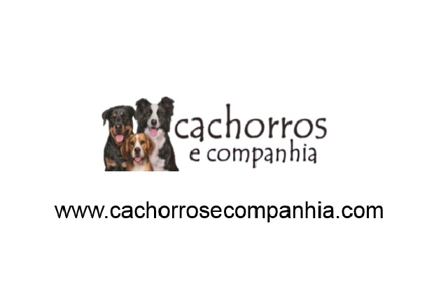 Foto 1 - Cachorro & cia